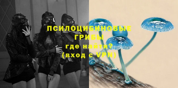 спиды Беломорск