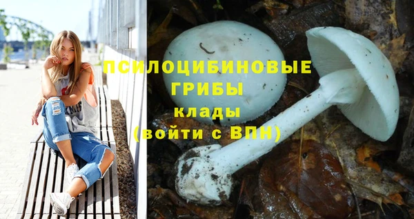 спиды Беломорск